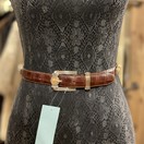 brighton-museum-collection-  display picture 2