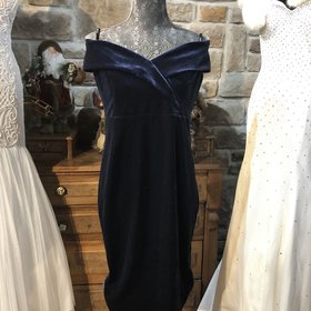 Bardot Navy Blue Velvet Dress, Size 12