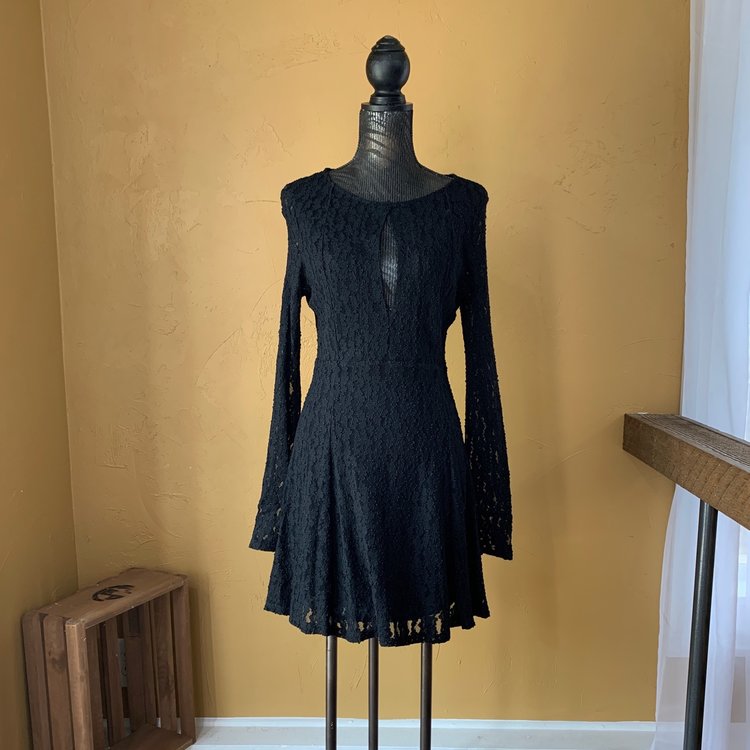 Free People Long Sleeve Lace Skater Dress