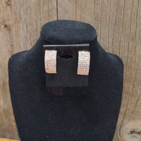 Silver Clip Earrings in Aurora Borealis