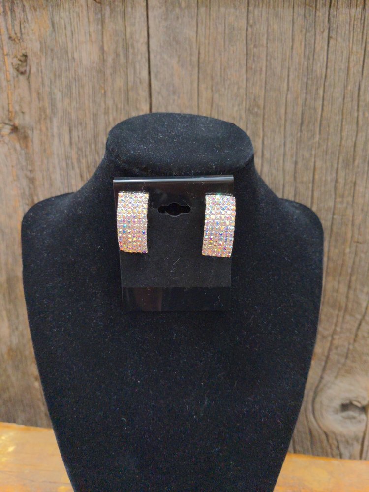 Silver Clip Earrings in Aurora Borealis