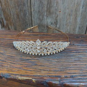 Gold Princess Tiara