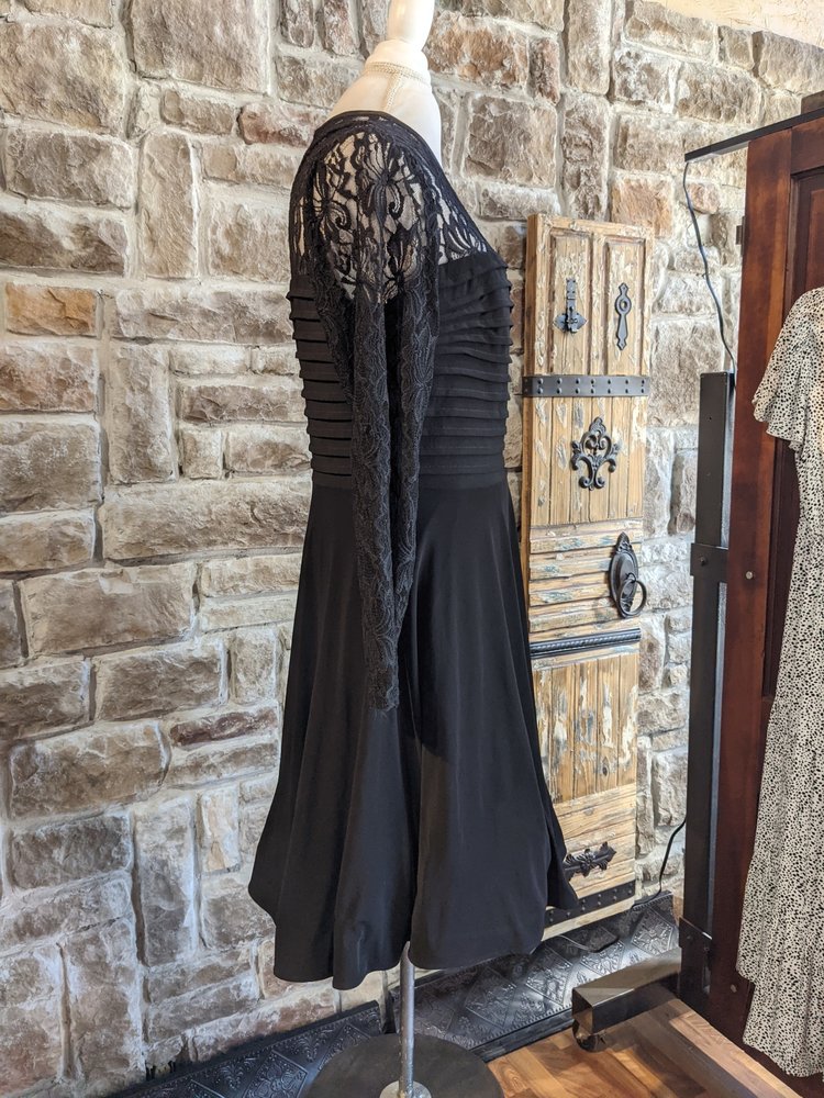 Betsy & Adam Black Lace Sleeve Crinoline Skirt Dress, Size 14W