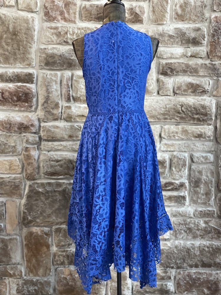 Royal Blue Lace Swing Dress, Size 6
