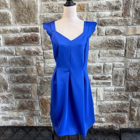 Monteau Royal Blue Fit & Flare Dress, Size 1X