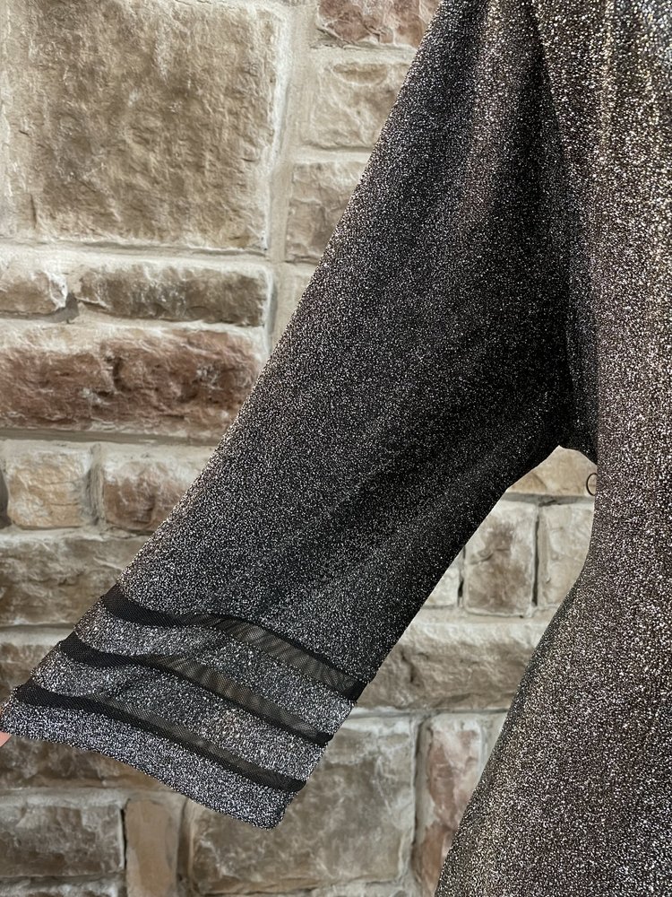 Jessica Howard Silver Glitter Mesh Edge Dress, Size 22W