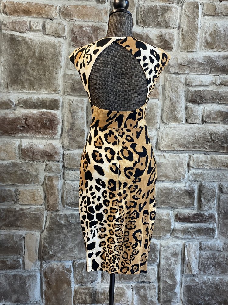 Caché Leopard Print Open Back Dress, Size 6