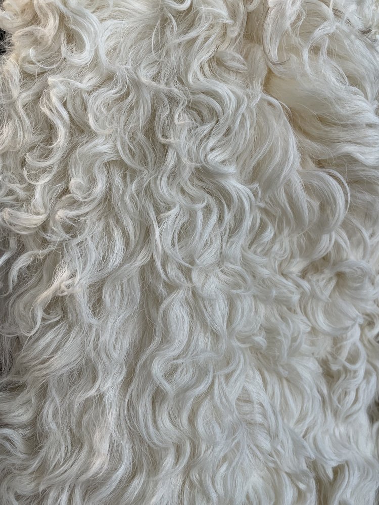 Curly Lamb Jacket, Size S