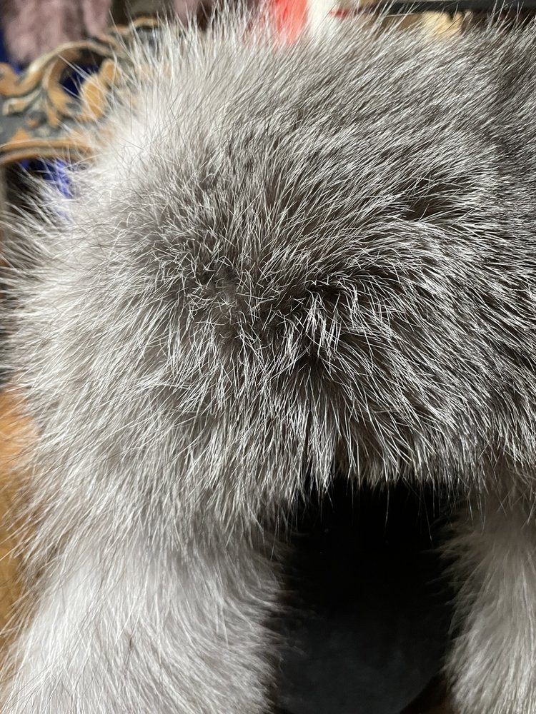 Silver Fox  and Leather Trapper Hat, O/S