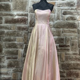 Blondie Nites Pink Shimmer Mesh Panel Gown w/ Pockets