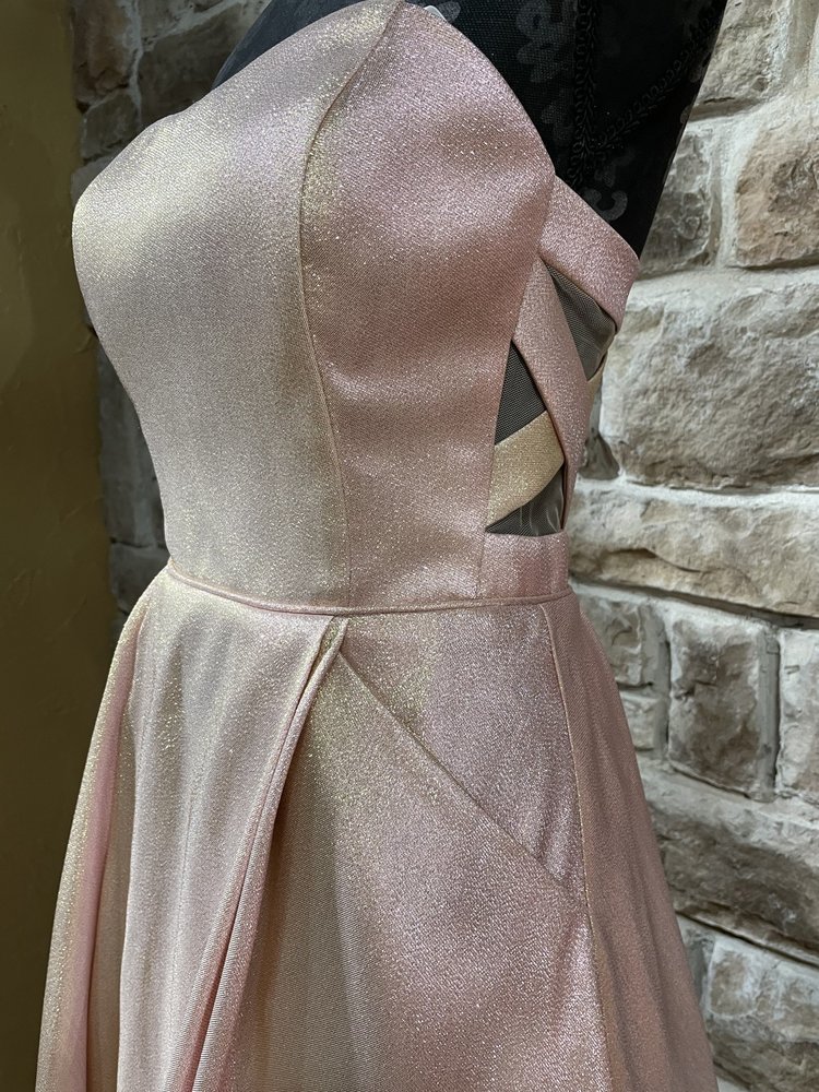 Blondie Nites Pink Shimmer Mesh Panel Gown w/ Pockets