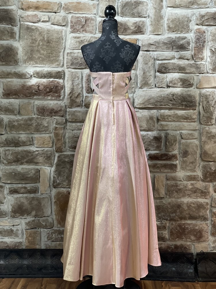 Blondie Nites Pink Shimmer Mesh Panel Gown w/ Pockets