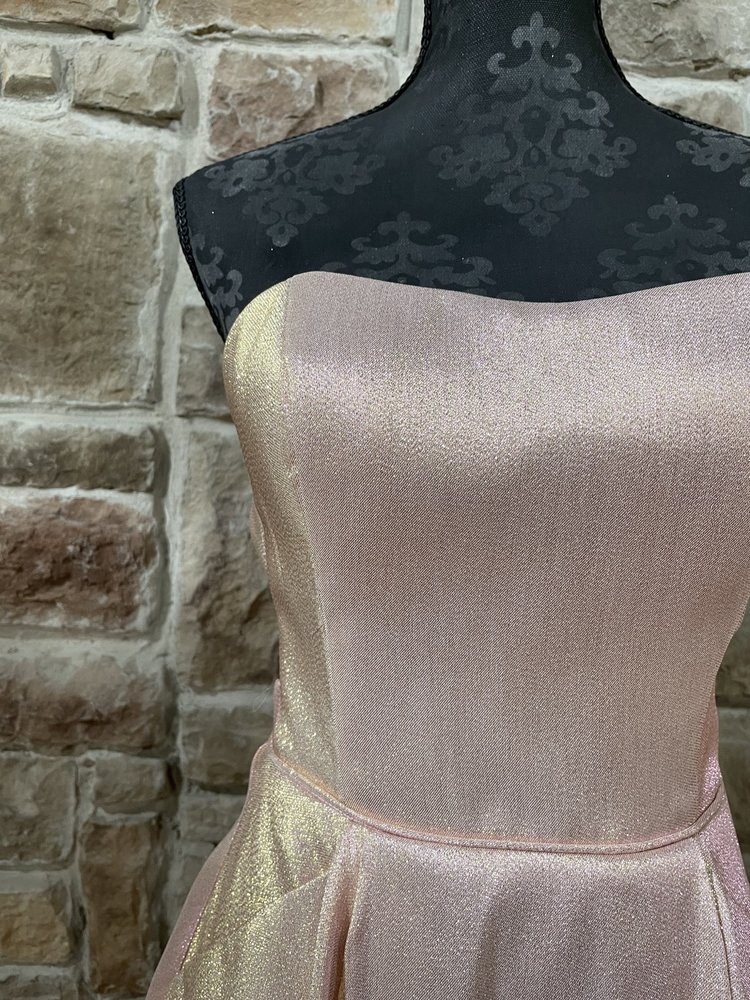 Blondie Nites Pink Shimmer Mesh Panel Gown w/ Pockets