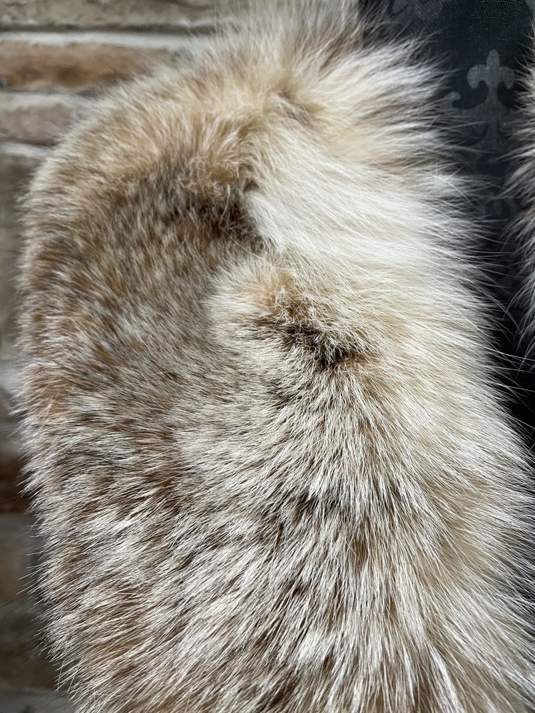 Canadian Lynx Collar 42"