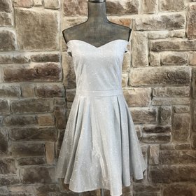 Silver Off the Shoulder Skater Dress, Size XL