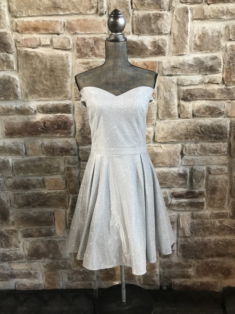 Silver Off the Shoulder Skater Dress, Size XL