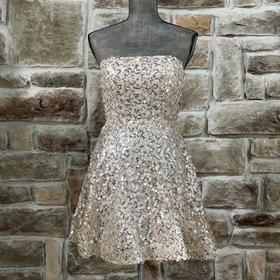 Crystal Doll Champagne Sequined Strapless Dress w/ Pockets