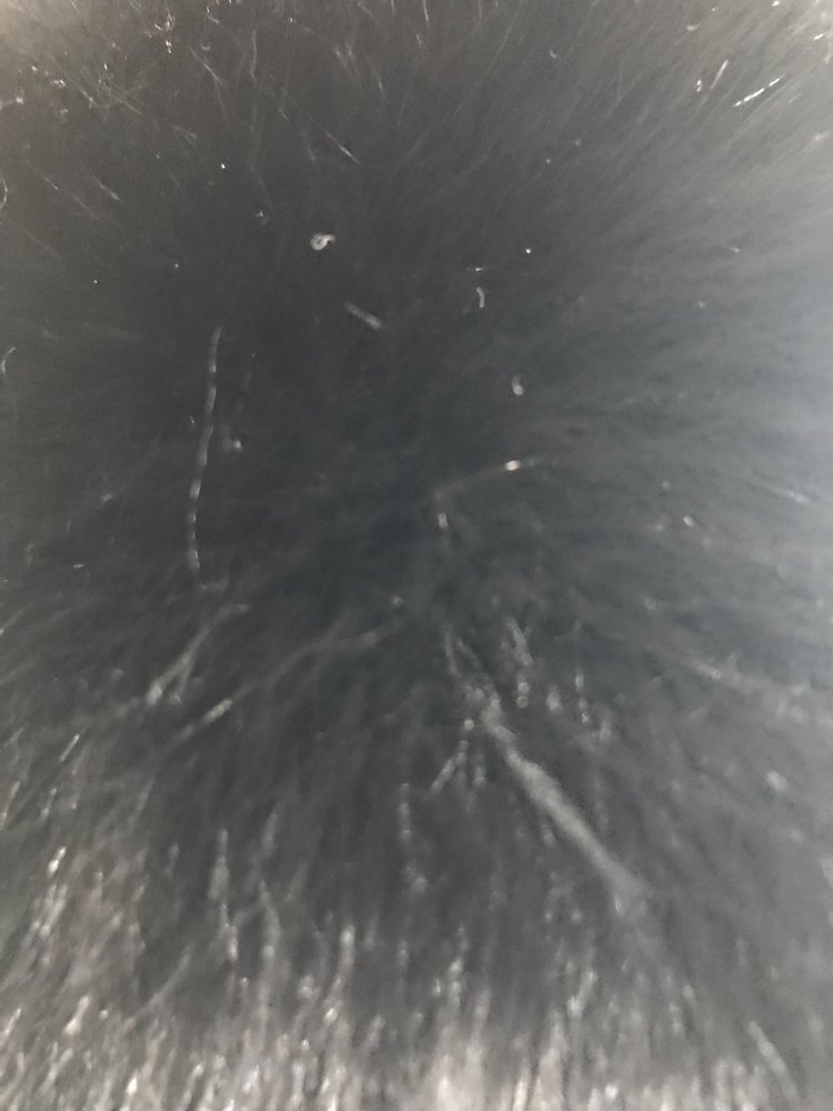 Black Fox Cossack Hat