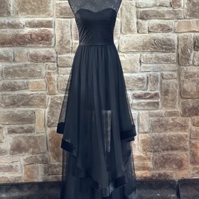 Blondie Nites Black Strapless Velvet-Piped Mesh Gown