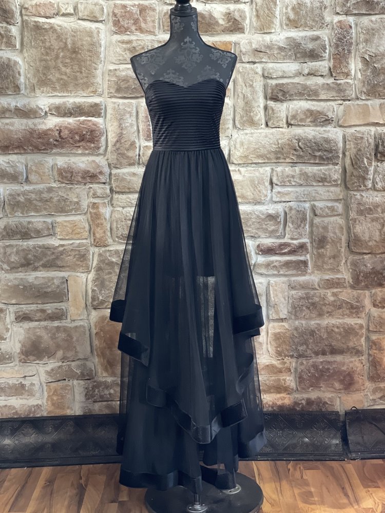 Blondie Nites Black Strapless Velvet-Piped Mesh Gown