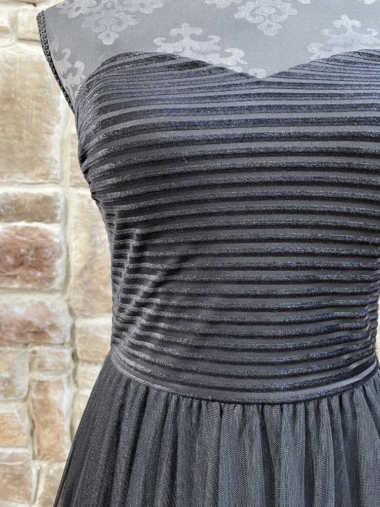 Blondie Nites Black Strapless Velvet-Piped Mesh Gown