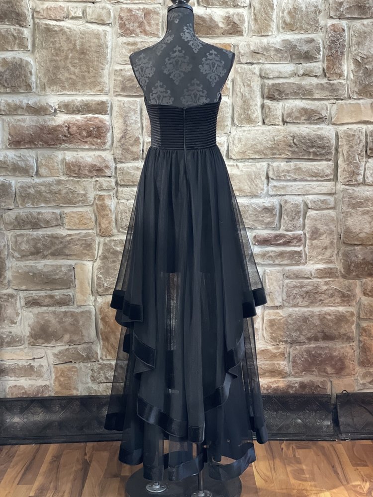 Blondie Nites Black Strapless Velvet-Piped Mesh Gown