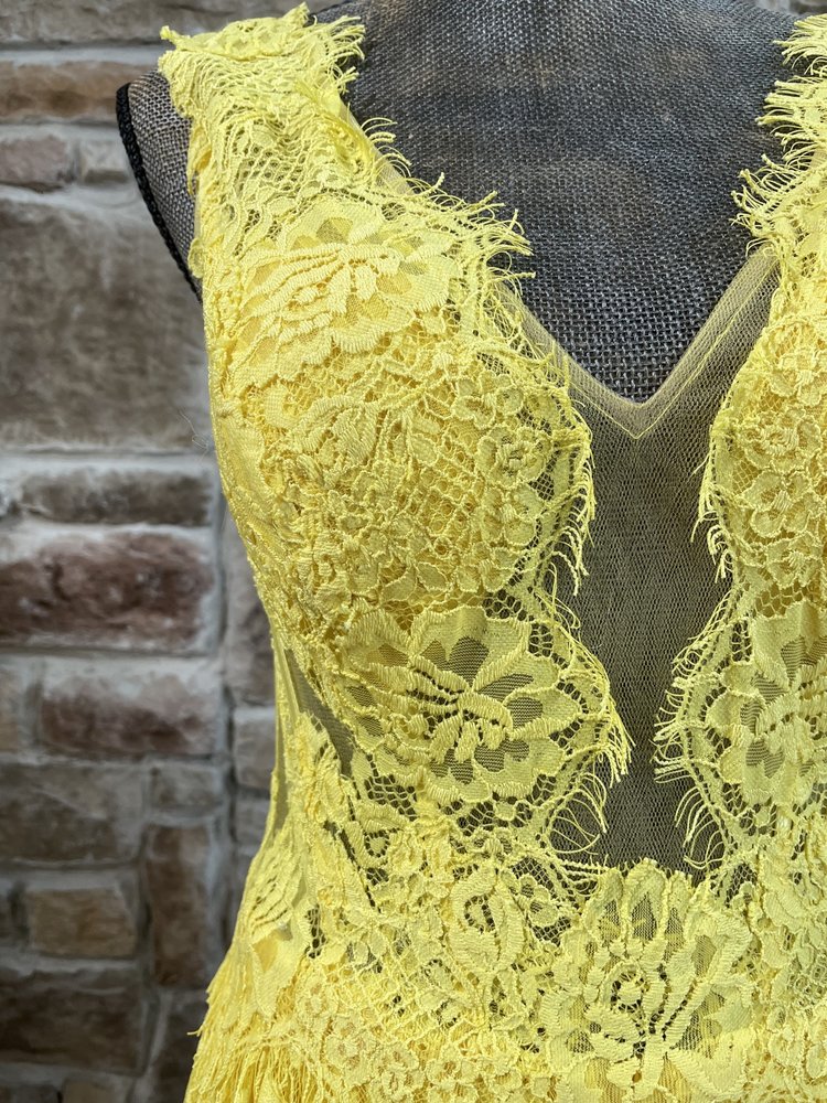 Jovani Yellow Lace  Corset  Mesh Boho Gown, Size 11/12