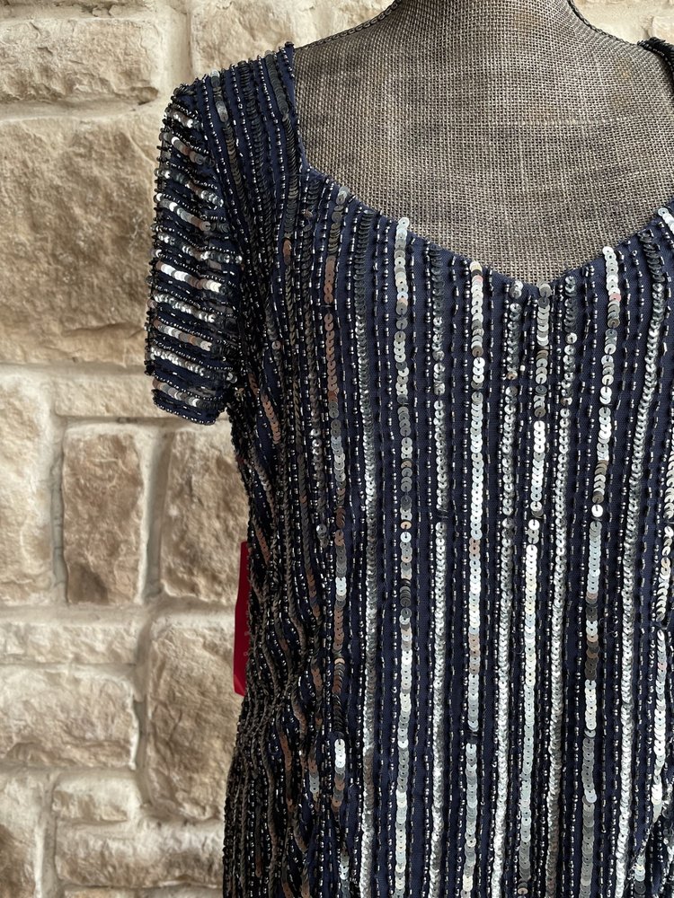 Pisarro Nights Navy Silver Beaded Sequin Gown w/ Sleeves, Size 14