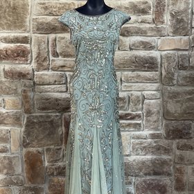 Pisarro Nights Dusty Blue Embellished Tulle Dart Gown, Size 10
