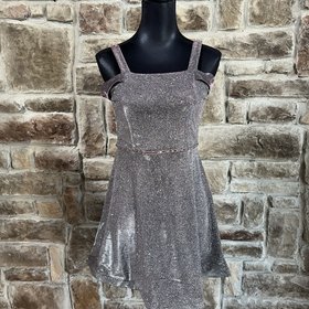 Poppies and Roses Purple and Silver Shimmer Dress w/ Pink Diamond Waistband, Size S