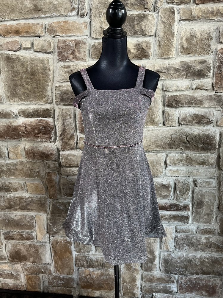 Poppies and Roses Purple and Silver Shimmer Dress w/ Pink Diamond Waistband, Size S