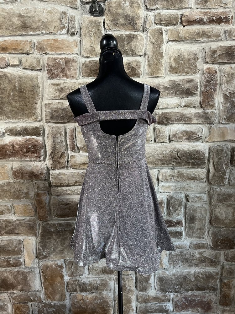 Poppies and Roses Purple and Silver Shimmer Dress w/ Pink Diamond Waistband, Size S