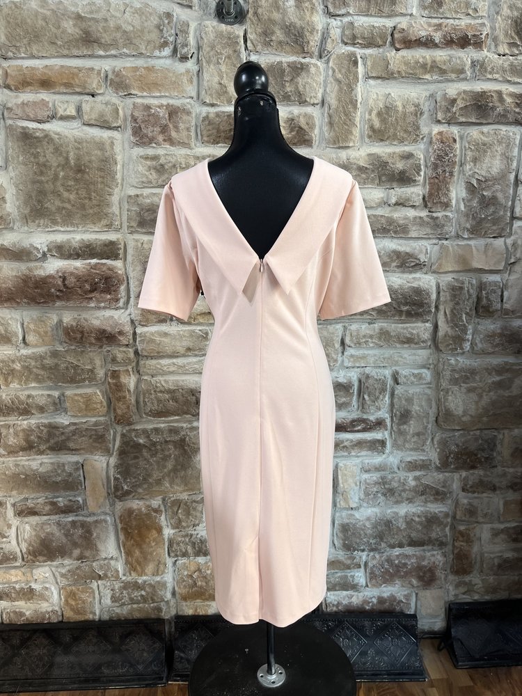 Adrianna Papell Blush Short Sleeve w/ Rolled Neckline, Size 16