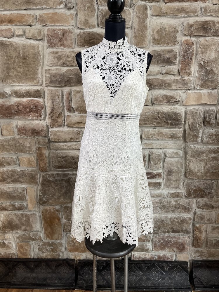 Bardot Ivory Floral Lace A Line Dress, Size M