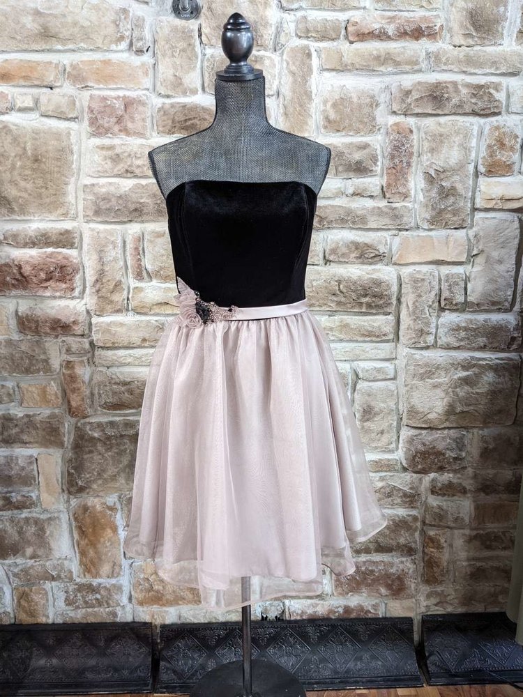 Alfred Angelo Black Velvet Dress with Taupe Skirt and Removable Straps, Size 12