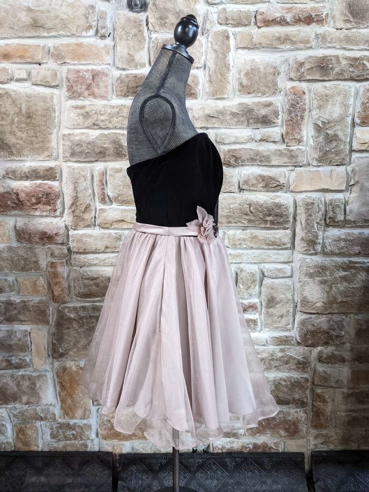 Alfred Angelo Black Velvet Dress with Taupe Skirt and Removable Straps, Size 12