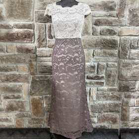 Adrianna Papell Beige with Dusty Rose Skirt Overlay Lace Dress , Size 0