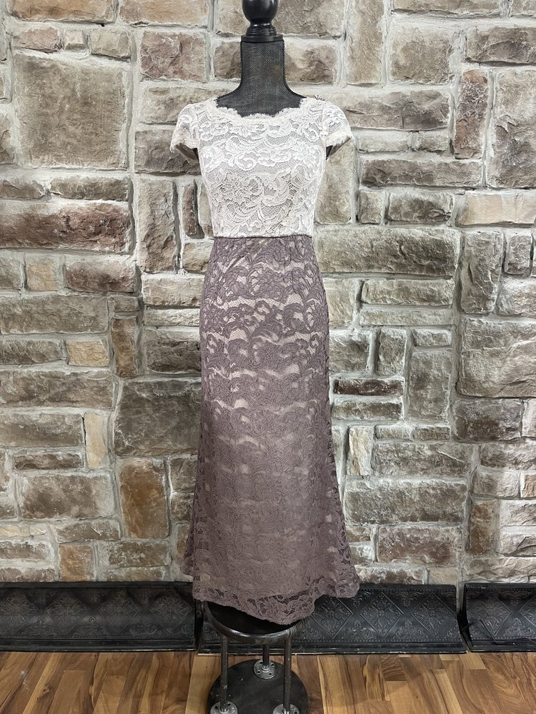 Adrianna Papell Beige with Dusty Rose Skirt Overlay Lace Dress , Size 0