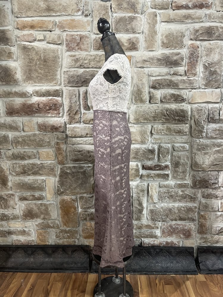 Adrianna Papell Beige with Dusty Rose Skirt Overlay Lace Dress , Size 0