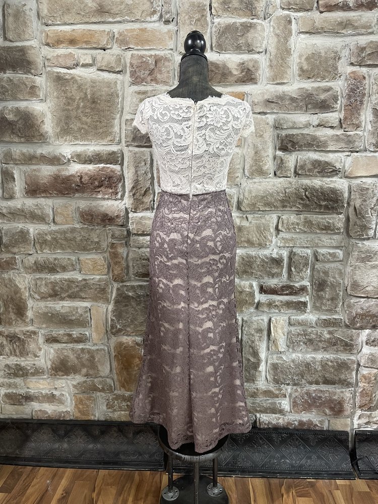 Adrianna Papell Beige with Dusty Rose Skirt Overlay Lace Dress , Size 0