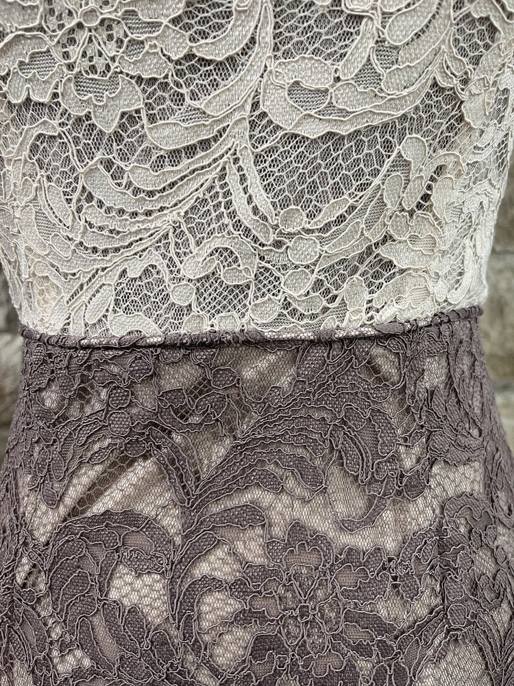 Adrianna Papell Beige with Dusty Rose Skirt Overlay Lace Dress , Size 0