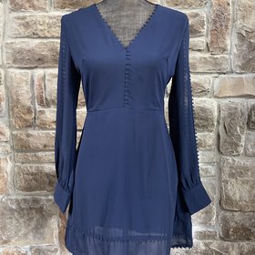 Wild Ginger Navy Dress with Sheer Open Sleeves, Size 8
