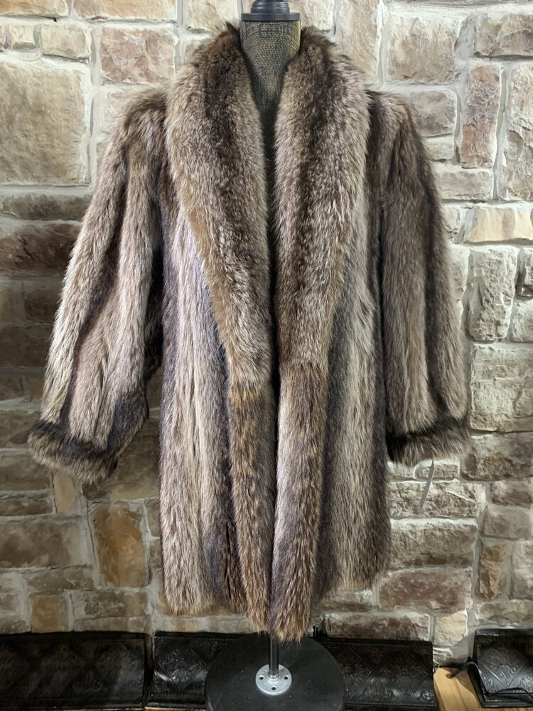 Lapaul's Brown North American Raccoon Stroller, Size XL