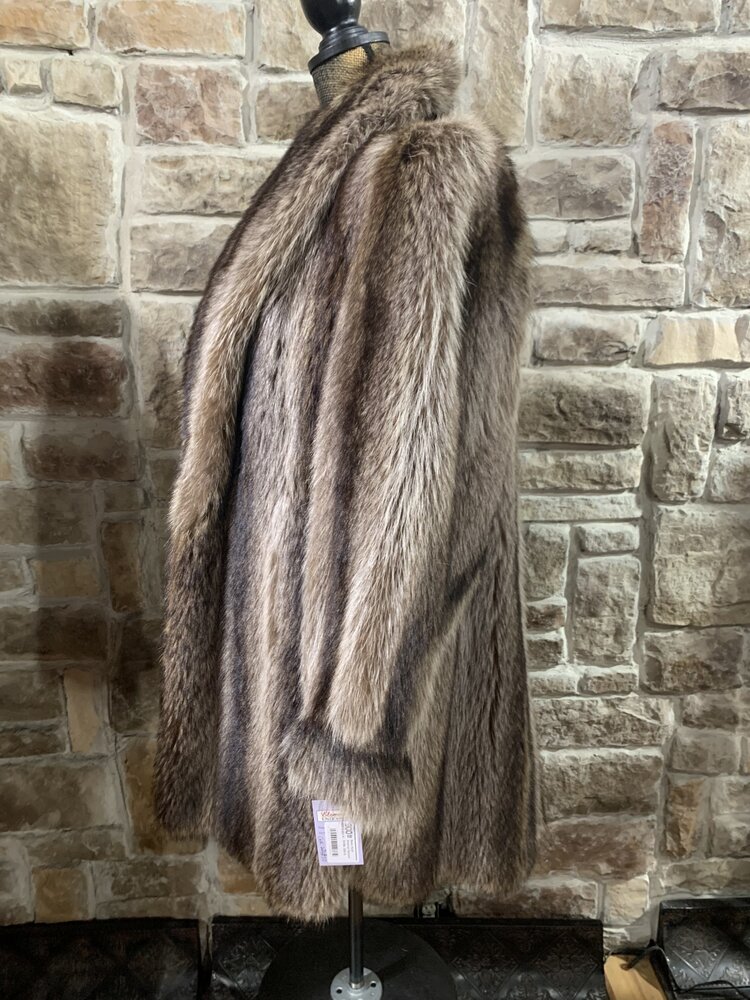 Lapaul's Brown North American Raccoon Stroller, Size XL