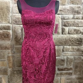 Adrianna Papell Fuschia Lace Illusion Strap Size 4