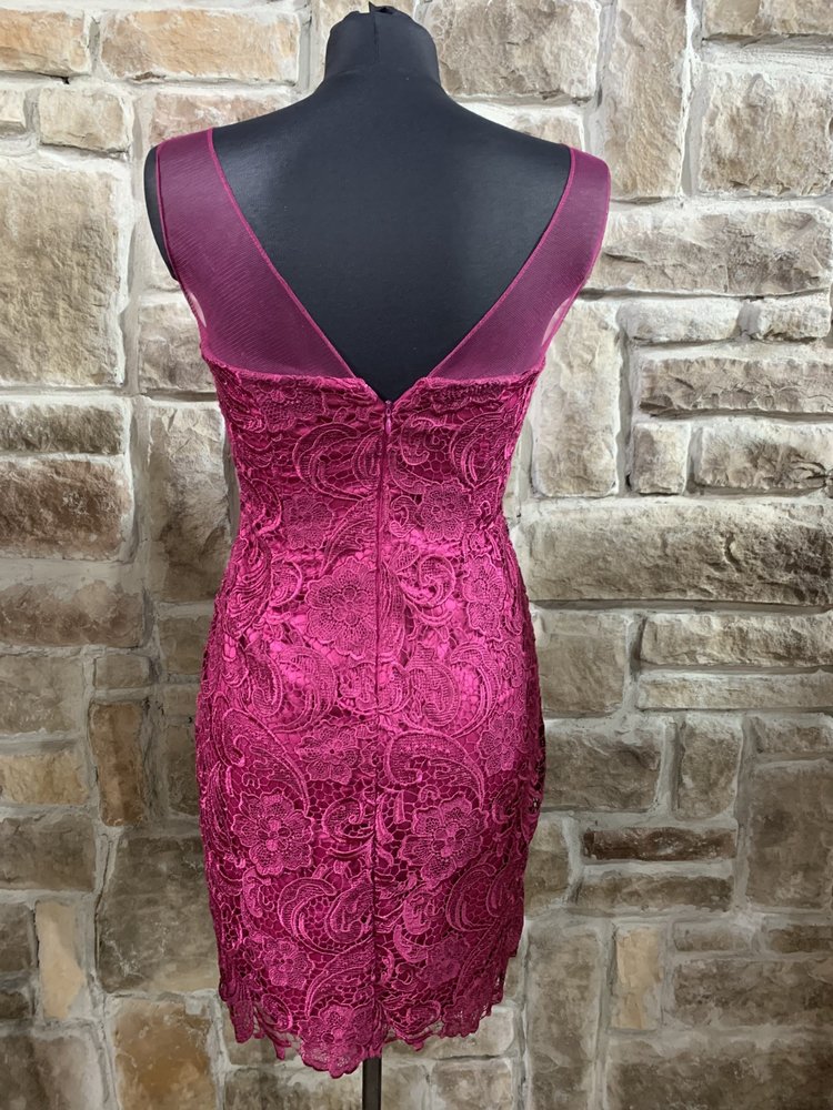 Adrianna Papell Fuschia Lace Illusion Strap Size 4