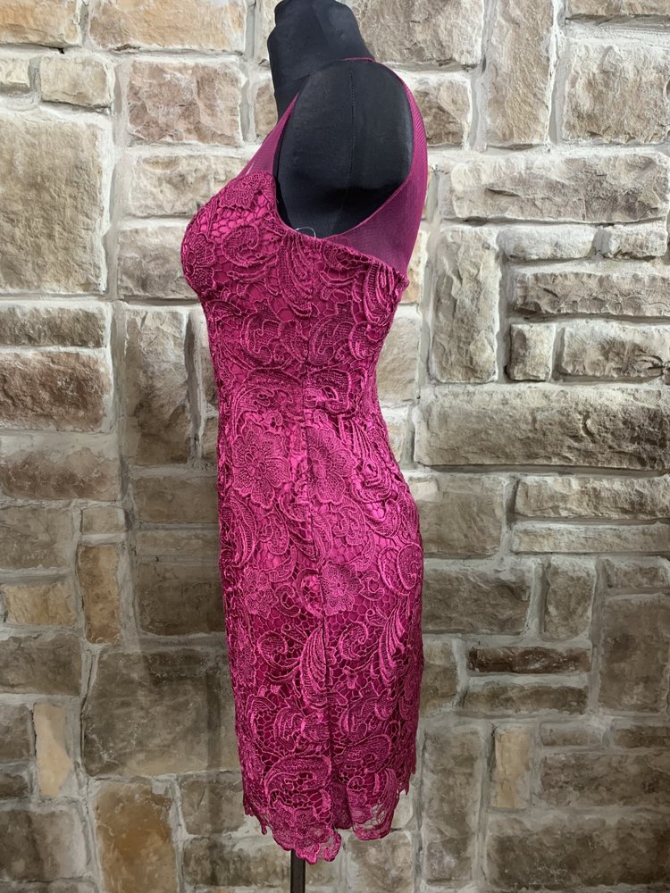 Adrianna Papell Fuschia Lace Illusion Strap Size 4