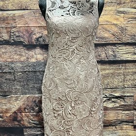 Adrianna Papell Nude Pink Laced Overlay Sheath dress, Size 2