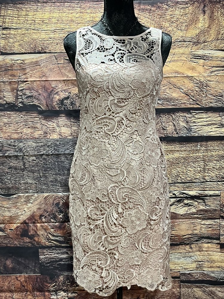 Adrianna Papell Nude Pink Laced Overlay Sheath dress, Size 2