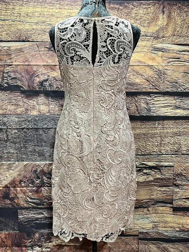 Adrianna Papell Nude Pink Laced Overlay Sheath dress, Size 2